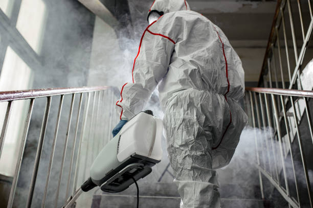 Biohazard Mold Removal in Plainview, NY